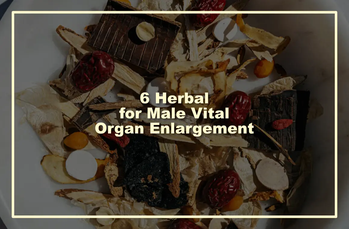 6 Herbal for Male Vital Organ Enlargement